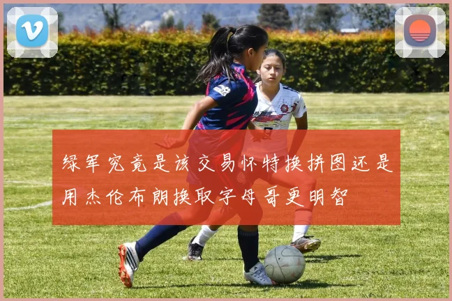 绿军究竟是该交易怀特换拼图还是用杰伦布朗换取字母哥更明智